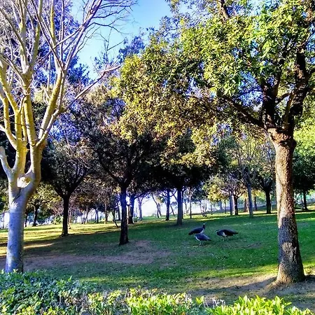 Castelvi
